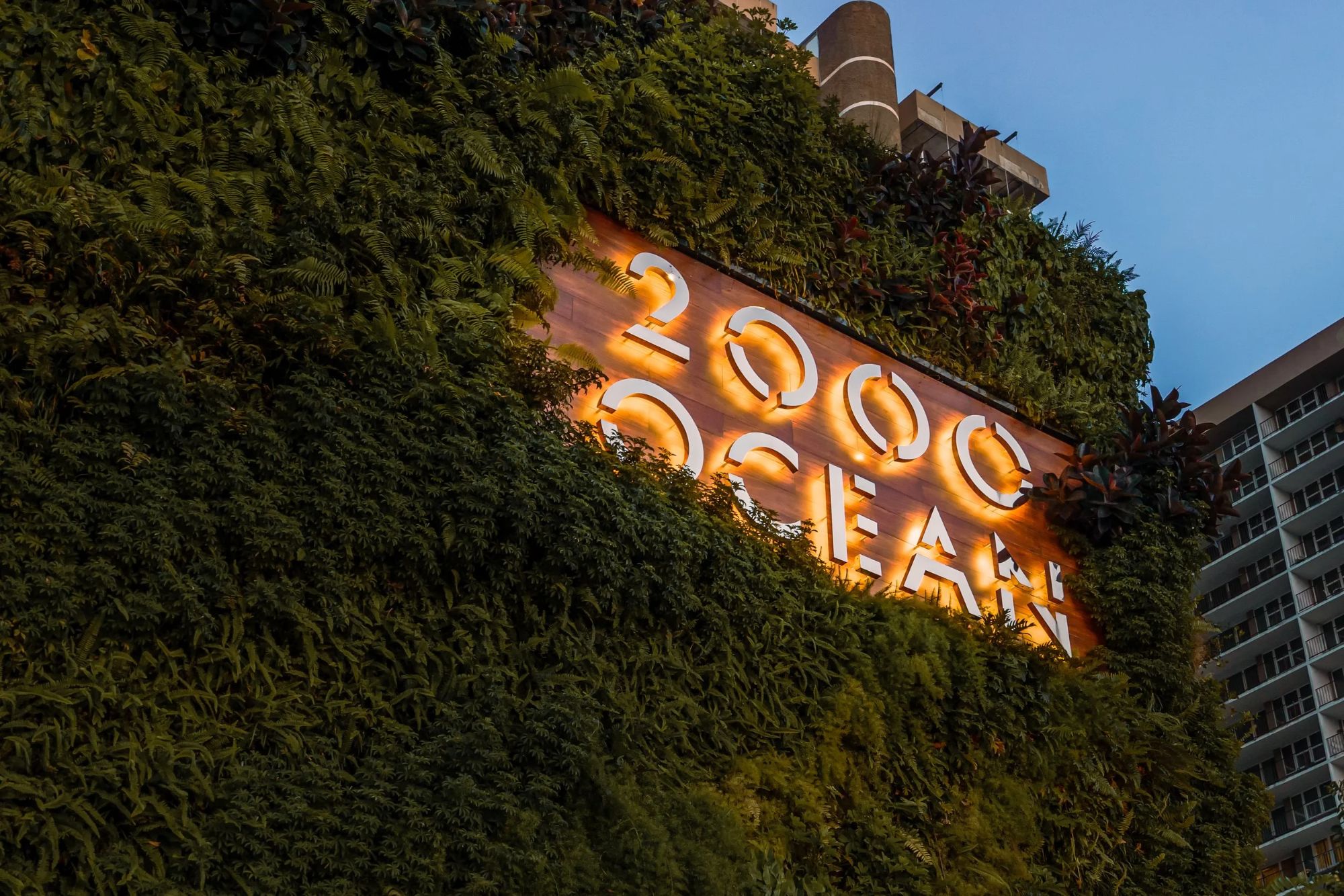 2000 Ocean